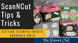 Brother ScanNCut Tips & Tricks - Cutting Stamp