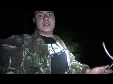 Karpfenmythos Teil1 (süß gegen fischig)