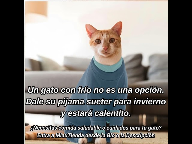 Vídeo relacionado con Ropa de Invierno para Gatos, Pijama Suéter Cálido Chaleco Polar Jersey Traje Anti Lamida para Gatos Pequeño Mediano Grande(Rosa, M)
