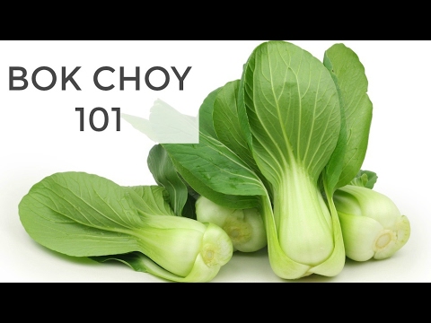 , title : 'Bok Choy 101 | Everything You Need to Know'