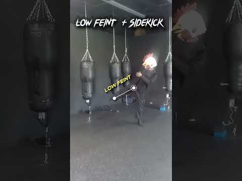 Low feint  + sidekick