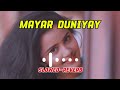 Mayar Duniya | মায়ার দুনিয়া | Tanzil Misbah & Sekh Sadi | Slowed & Reverb | Bangla New Song 