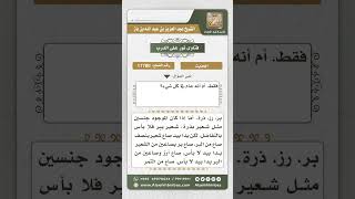 11780 - معنى قول النبي ﷺ (الذهب بالذهب والفضة بالفضة والتمر بالتمر..) -  نور على الدرب image