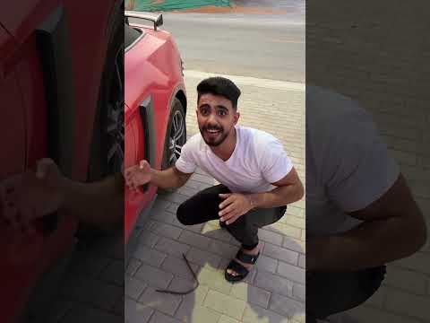 حرامي غبي 😂🤣