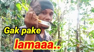 Download lagu RAHASIA MEMIKAT MURAI BATU TANPA PIKAT DAN UMPAN #mikat #muraibatu #tipsandtricks #birdtrap mp3