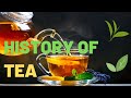 The History of Tea | The Origin Of Tea | Tea's Ancient Beginnings in China