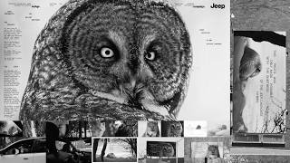 Jeep: Silent Edition