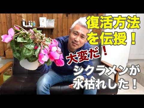 Watch on YouTube