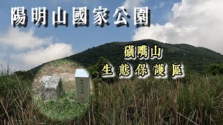 磺嘴山#陽明山#保育志工#大台北山區#登山健行#擎天崗