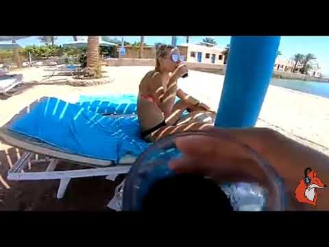 Treyy G, Contiez, Helion - No Where (Music Video) 🦊 ONLY MUSIC