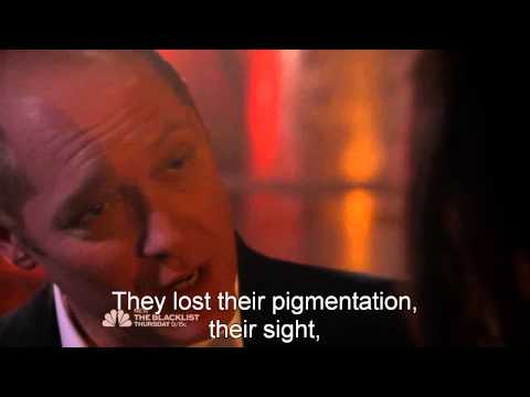 The Blacklist - James Spader "Would I become less hideous?"