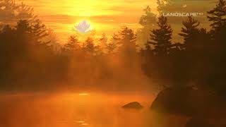Tim Wheater - Lady Of The Springs (LandscapeHD)