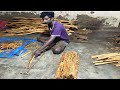 World Famous Ceylon Cinnamon Sticks Cinnamon Cultivation Kurudu Wagawa Do It Yourself