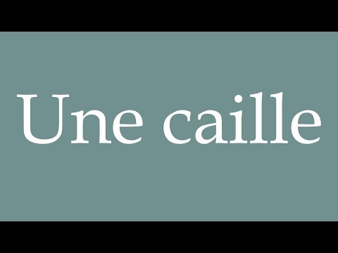 How to Pronounce ''Une caille'' (A quail) Correctly in French