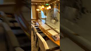 First Look: Emerald Princess The Library #princesscruiseship  #cruisetour  #cruisevlog    #library