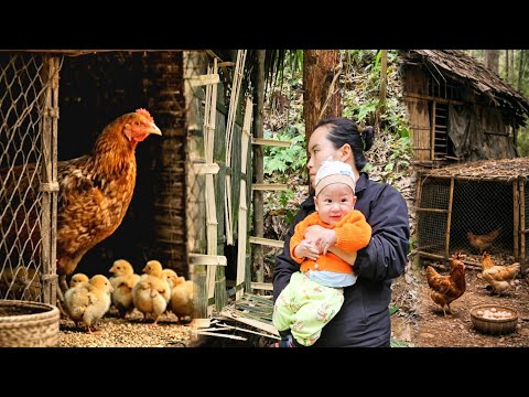 The chicken coop was finished, but the worries of the mother and daughter remained