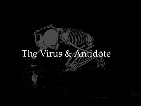 The Virus & Antidote - ''IKnowI'mNotAHero'' (sub. español)