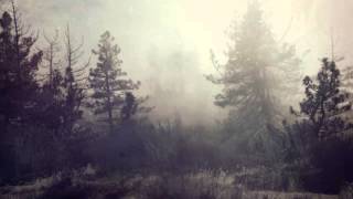 Nachtmystium - Every Last Drop