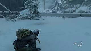 THE LAST OF US PART2（ストーリー重視）