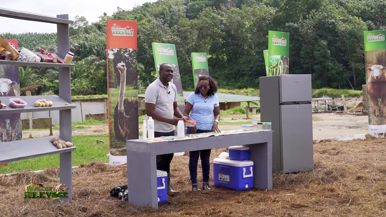 Parlons Élevage n° 06 - Du 24 novembre 2023 | "La leçon" avec Yodé et Siro.