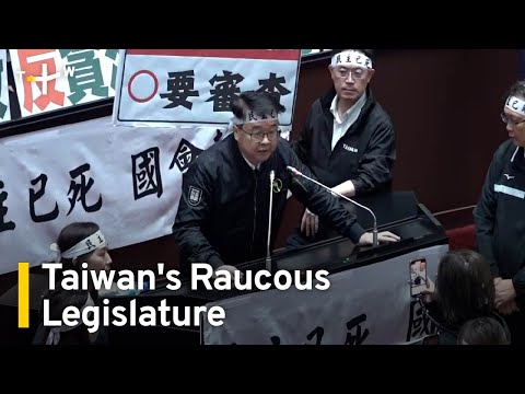 丟臉丟到國外去！台灣政客們大打出手的立法院 (Taiwan's Raucous Legislature: The Laws That Brought Politicians To Come to Blows | TaiwanPlus News)