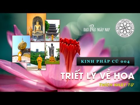 Kinh Pháp Cú 04: Triết lý về hoa (03/10/2010) Thích Nhật Từ
