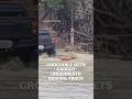 Crocodile Gets Caught Underneath Moving Truck