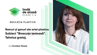 ”Broscuța Țestoasă”.Tehnica Grataj