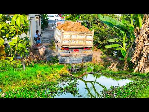 First Start Opening Amazing Project!! Landfill Delete Pond flood By Skills Dozer With 5ton Trucks