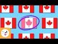 Spot The Different Flag Learn Country Flags Visual Attention For Kids