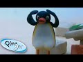 Pingu At School Pingu Official Channel