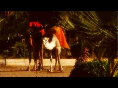 Marrakesh by Barbara Lucas