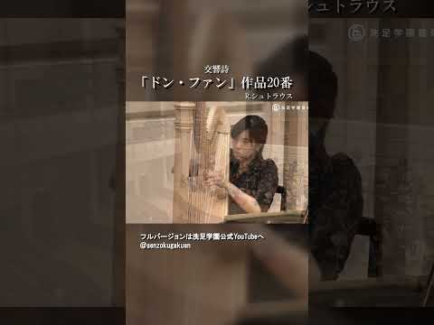 交響詩 ドン・ファン 作品20