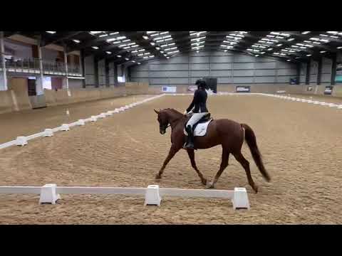 For Sale By Belissimo M