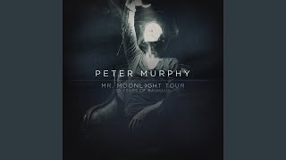 A Strange Kind of Love (Live)