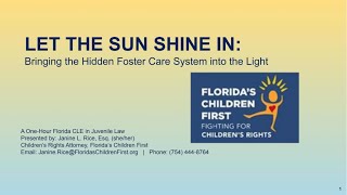 Let the Sunshine In: Bringing the Hidden Foster Care System into the Light
