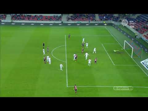 Welcome to Brisbane, Stefan Scepovic 🇷🇸