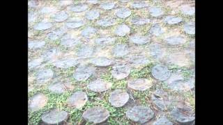 Santiago Bernhardt - Rebellious Jukebox [The Fall Cover]