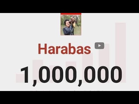 Thank You, 1 Million Subscribers!