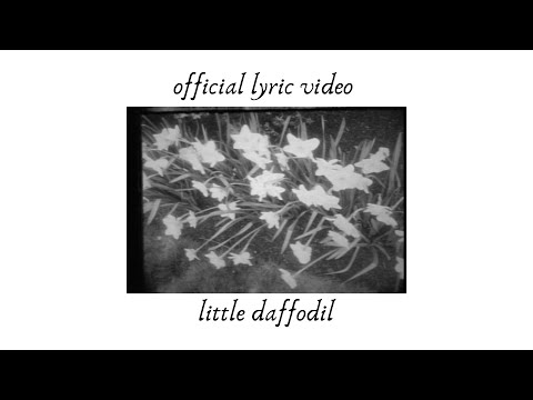 Sterling Rhyne - little daffodil (Official Lyric Video)