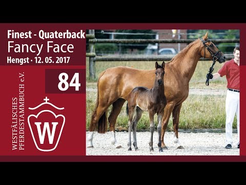 84 Fancy Face  Hengst v. Finest - Quaterback