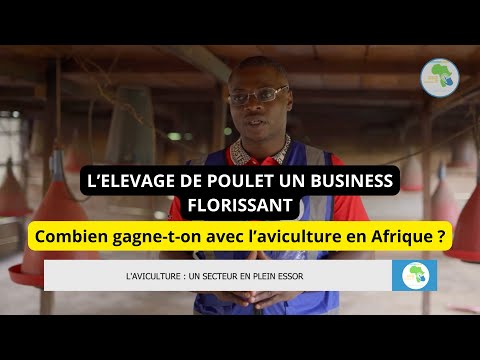 Business aviculture Cameroun