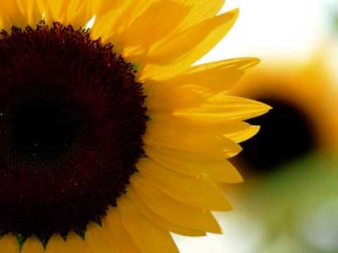 Capital STEEZ ft. Junior Bell - M.I.A. (Mission Impossible: Accomplished) - Unreleased Track