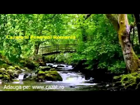 Cazare Lisnau, Covasna - Cazat.ro