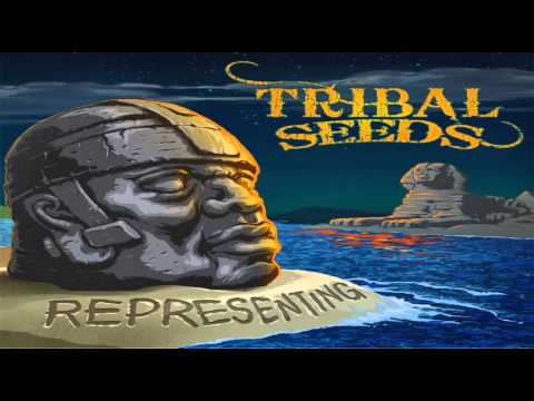 Tribal Seeds - Lonely Night