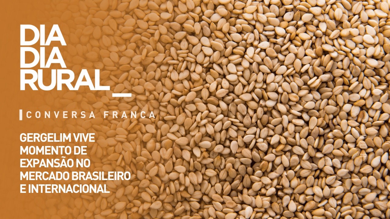 Gergelim vive momento de expansão no mercado brasileiro e internacional