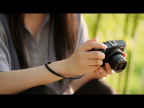 비디오 6