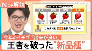 王者vs新品種「日本一おいしいイチゴ」は…　失敗しないおいしいイチゴの見分け方【Nスタ解説】｜TBS NEWS DIG