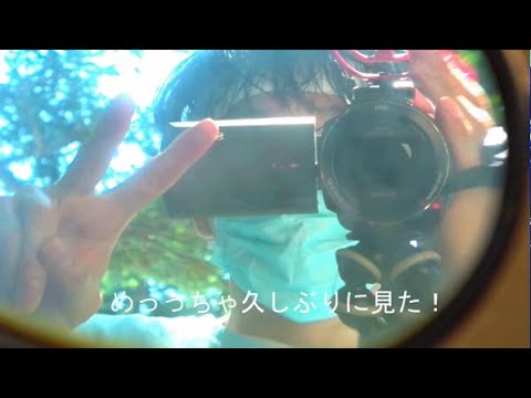 Video thumbnail for 1999年の夏 (1999-Nen No Natsu)