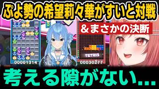 【ぷよテト】ぷよですいちゃんと対戦＆テトリスとぷよどっちにするか決断【ホロライブ切り抜き/一条莉々華/星街すいせい】